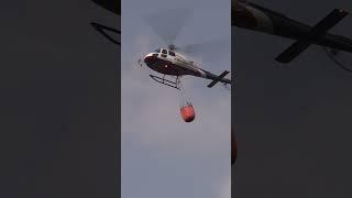 Firefighting helicopter in Sicily #shorts #firefighter #forestfire  #helicopter #emergency #aviation