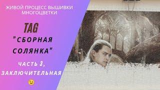 ТЕГ "Сборная солянка" часть 3.  Живой процесс #вышивки #многоцветки