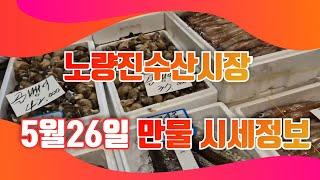 5월 26일 노량진수산시장 만물 (패류031) 시세정보 입니다. 35년 경력으로 믿고 찾아주세요