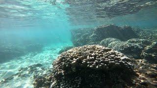 Snorkeling at Olowalu, Maui