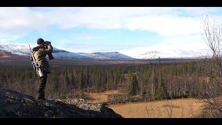 Big Moose & Winter Bird Hunting Lapland Sweden