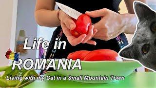 Quiet Life in Romania after 4 months Moving from UK, Cooking Romanian Tomatoes Noodles Soup, ASMR