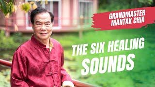 The Six Healing Sounds: what healthy organs sound like? Taoist practice with Grandmaster Mantak Chia