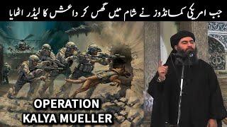 US Military Operation Kayla Mueller || The Baghdadi Raid || Story Facts