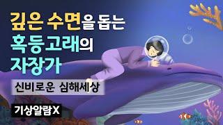  혹등고래가 당신을 포근하게 잠 재워줘요. 깊은 수면을 돕는 혹등고래의 자장가와 최고퀄리티 심해 백색소음, 앰비언스 수면음악 - 신비로운 심해세상으로 숙면여행 [기상알람 없음]