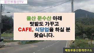 [울산부동산TV] 울산 문수산 아래 텃밭도 가꾸고 카페나 식당 하실 분을 찾습니다.