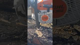 STIHL MS 362 28” Bar Wood Chores B4 FISHIN #yakventures #stihl