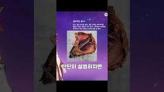 원신에 있는 음식중 가장 괴상한건 뭘까?