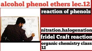 class 12 organic chemistry// chapter 11 alcohol phenol and ether // reaction of phenol