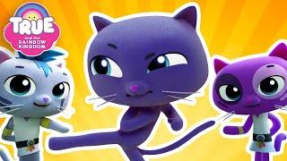 NINJA CATS!  6 Full Episodes  True and the Rainbow Kingdom 