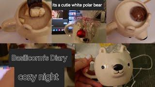 Basilicorm's Diary: A Cozy Night / Alone life in İstanbul, I have a guest( Bear)