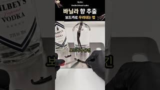 바닐라 향 추출 하는 방법 (with 보드카) Vanilla Infused Vodka