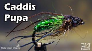 Vinyl Caddis Pupa | Flugbindning | Svenskaflugor.se