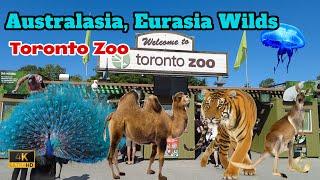 Toronto zoo, Australasia, Eurasia Wilds 4K Walking Tour | Toronto, Ontario | Travel Canada