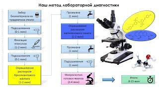 Лабораторная экспресс-диагностика в гомеопатической практике