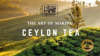 The art of making Ceylon Tea