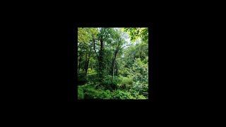 DJI Avata 2 Manual Mode Exploring