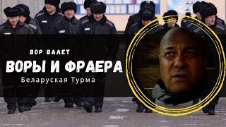 Воры и фраера