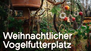 DIY: Weihnachtlich/Winterliche Deko für den Vogelfutterplatz – Wundervoll für Mensch & Tier!  ‍⬛