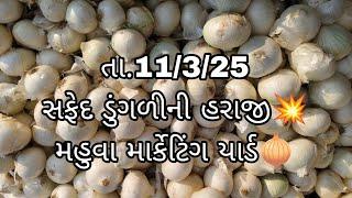 તા.11/3/25 સફેદ ડુંગળીની હરાજી | મહુવા માર્કેટિંગ યાર્ડ | safed kanda ni  bajar | aajna bajar bhav|