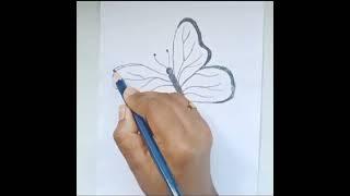 How To Draw A Butterfly Sketch ll YD ART AND CRAFT