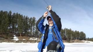 Dr. Auger Ice Fishing:  Late Ice Perch on Deerfield Reservoir