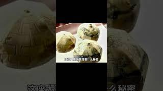 被秦始皇盜過的大墓，出土19個玉鎮，還有一把越王勾踐劍同款玉劍 #考古發現 #古墓出土 #西漢大墓 #出土文物 #珍貴文物