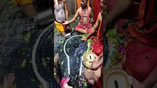 Baba baidyanath dham live darshan #babadham #deoghar #harharmahadev #jharkhand