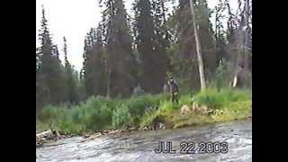 GRIZZLY VS 338 MAG , TALKEETNA  ,ALASKA