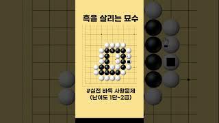 흑을 살리는 수순 중급사활 #바둑 #사활 #바둑강좌