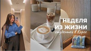 Студенческие будни в Корее / Университет Тэджон / Starbucks на 38 этаже