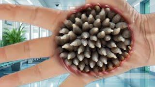 ASMR | Relax your brain after watching ASMR hand palm animation 