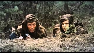 видео Алексей Овсянников
