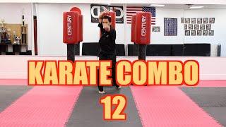 KARATE Lesson 31 - Karate Combo 12