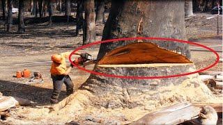 Big Wood Cutting Machines | wood processing & sawmill equipment | Chainsaw Wood Cutting Machine