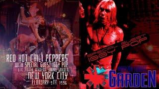 Red Hot Chili Peppers - Madison Square Garden [MSG] 1996 (Full Show Uncut AMT/SBD + extras)