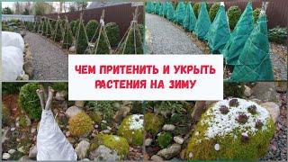 Чем притенить и укрыть растения на зиму.