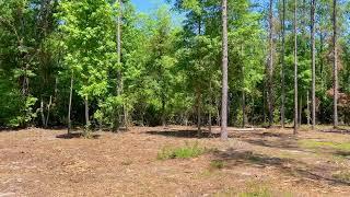 Lot 17 Pine Preserve Ln,  Pace, FL - 4.05 AC - (Mulched Homesite)