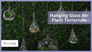 Hanging Glass Air Plant Terrarium | DIY Décor | eFavormart.com