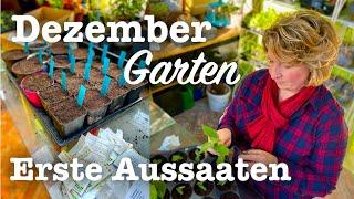 #66 Der Garten im Dezember  Das Neue Gartenjahr beginnt 🪴 Einlagern, Stecklinge, Aussaaten 