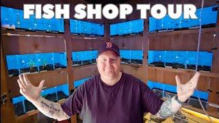 Some Amazing Fish In This Fish Shop | Fish Shop Tour