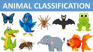 Classification of Animals || Types of Animals || Animal Groups || Science videos