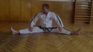 TAEKWON-DO WARM-UP