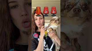 SIGMA BOY TIKTOK VOICE WITH MY PUPPY‍
