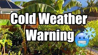 Incoming Brief Cold Spell Across The UK - Double Check The Forecast And Any Plants Outside