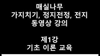 제1강 - 매실나무 가지치기, 매실나무 정지전정, 매실나무 전지 강의