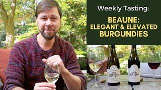 Burgundy Wine Tasting: Pinot and Chardonnay from Beaune