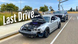 The last FIRST DRIVE in my SVT Cobra