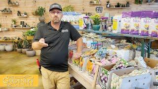 Let's Talk Fall Bulbs  Pro Talk with Sean at The Gardener's Center