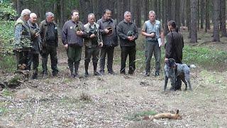 2018 Jaromir Dostal Memorial - Retrieve of Fox
